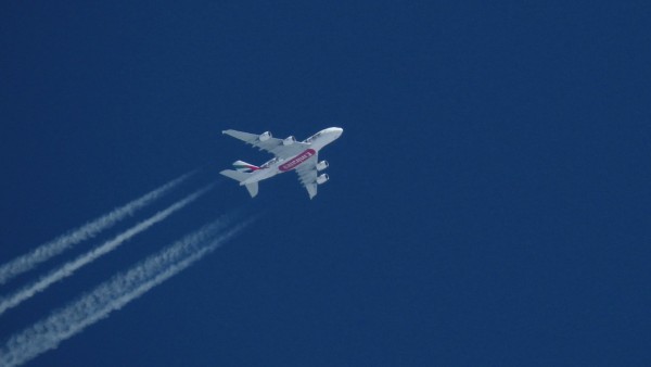 Emirates a380 United for wildlife livery.