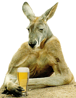 4a9f109794254_kangaroo_treehugger.gif