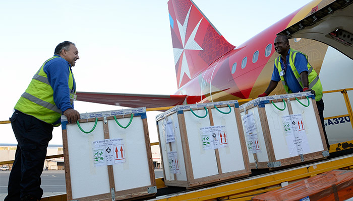 Air Malta facilitating cargo operations from Ostend to Libya