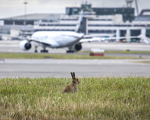 Busy Easter Bank Holiday weekend at Dublin Airport