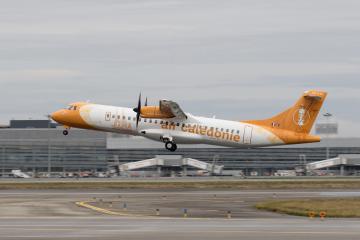 Air Calédonie files for bankruptcy amid weeks of island blockades