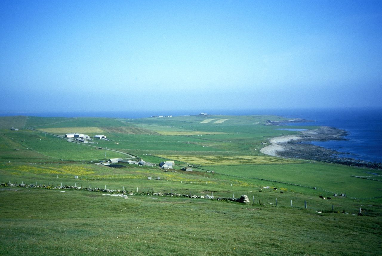 a green field with buildings and a body of water