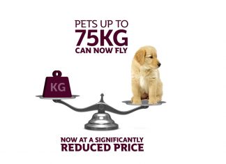 Qatar Airways Reduces Prices And Doubles Weight Allowance For Transporting Domestic Pets As Baggage
