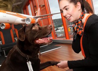 easyJet partners with TrustedHousesitters to provide new travel opportunities for pet owners and animal lovers
