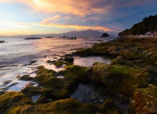 Hong Kong hub strengthens with new Cathay Pacific Group services to Davao City and Medan