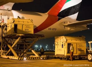Champion horses check-in to experience Emirates Equine between Liege Airport and Shanghai Pudong