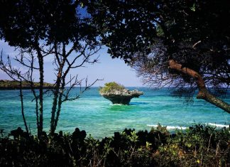 Qatar Airways launches flights to Mombasa, Kenya