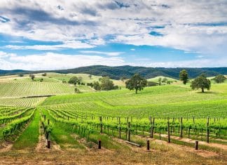 Cathay Pacific boosts frequencies to Adelaide, Frankfurt, Madrid and Tokyo