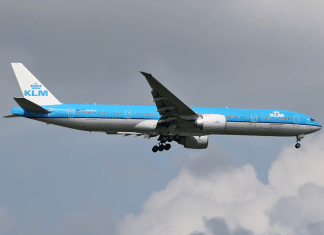 Virginia Family sues Delta and KLM over alleged bedbug infestation on transatlantic flight