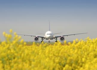 Summer schedule 2019: Frankfurt Airport total flights expanding moderately