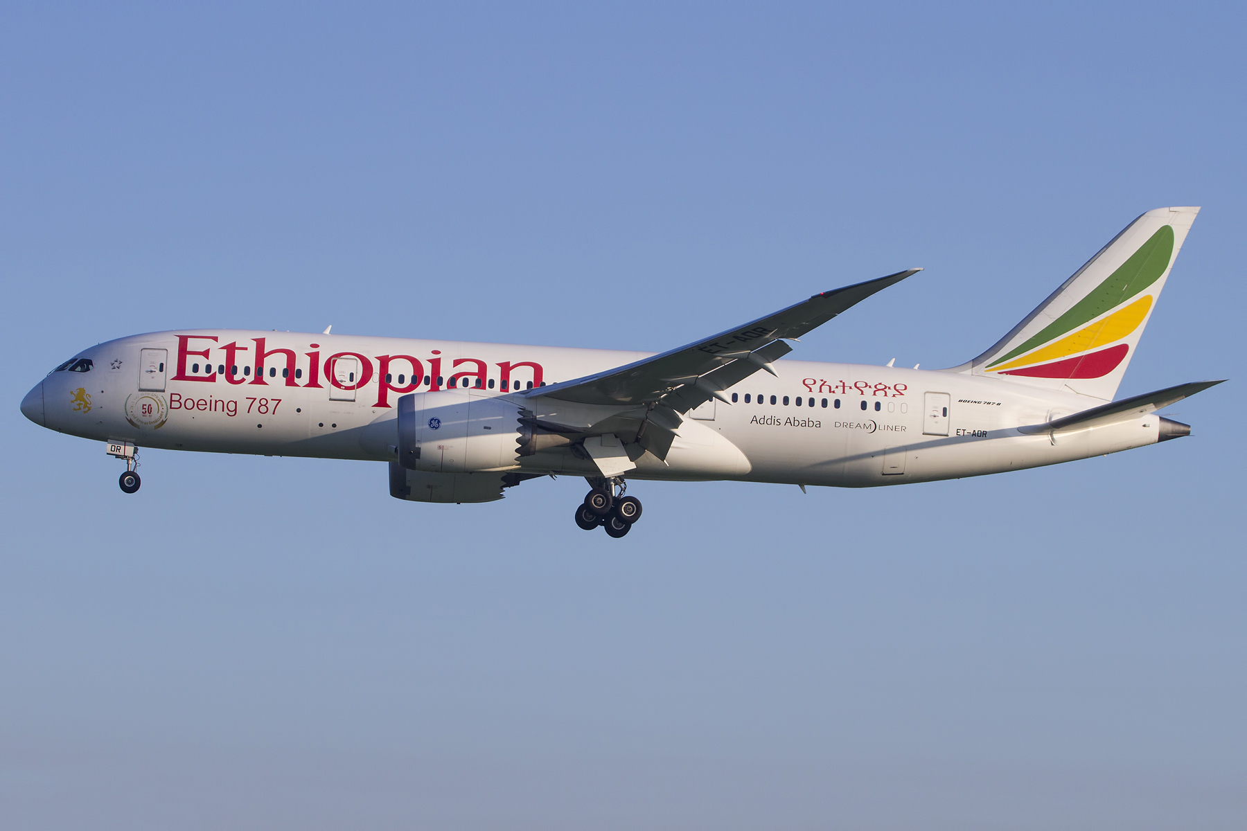 Ethiopian airlines отзывы. Эфиопские авиалинии. Ethiopian Airlines. Ethiopian Airlines фирменный стиль. Ethiopian Airlines логотип.