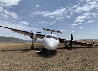 Safarilink Dash 8 hits wildebeests during landing at Maasai Mara airstrip, Kenya