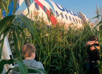 Ural Airlines Airbus A321 loses power in both engines after bird strike and crash lands in nearby corn field