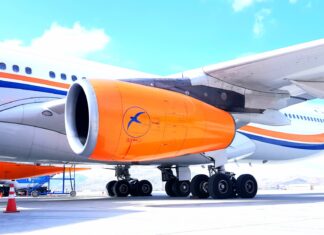 Afghan teen survives flight in aircraft landing gear from Kabul to Delhi