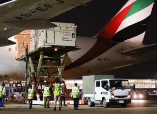 How many flights does it take to transport 247 horses from Liege to Tokyo?