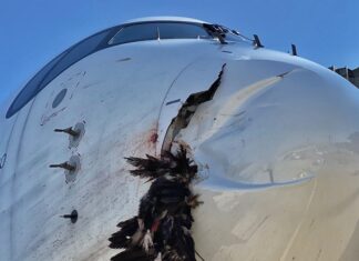 Iberia Airbus A350-900 suffers bird strike on approach Madrid Airport