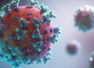 EU demands pre-departure coronavirus check for passengers from China entering Europe