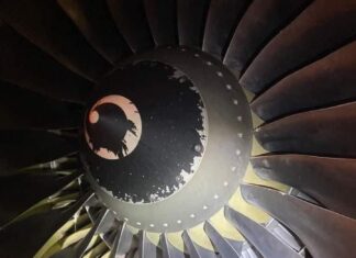 Malta Air (Ryanair) Boeing 737-800 suffers bird strike during approach Bologna Airport