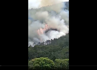 China Eastern Airlines Boeing 737-800 carrying 132 people crashes near Guangxi, China