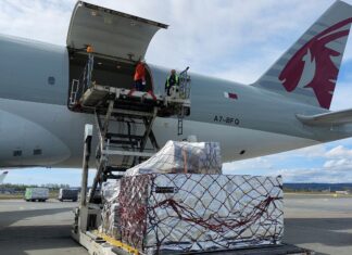 A freighter full of salmon: Qatar Airways Cargo celebrates a record year for salmon shipments out of Norway