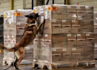 WFS and Diagnose pioneer the detection of undeclared lithium batteries using dog detection teams