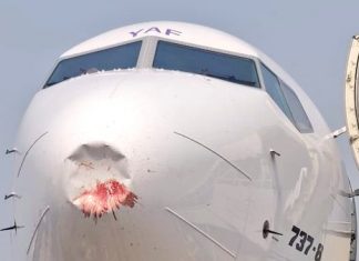 Akasa Air Boeing 737 MAX 9 suffers radome damage after bird strike