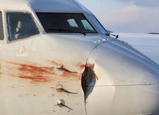 American Airlines Boeing 737-800 suffers bird strike during approach at Kansas City, U.S.