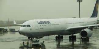 Lufthansa Airbus A340-600 in Frankfurt