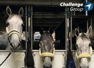 Challenge Handling: The Air Cargo Horse Whisperer, operating from Liege Airport