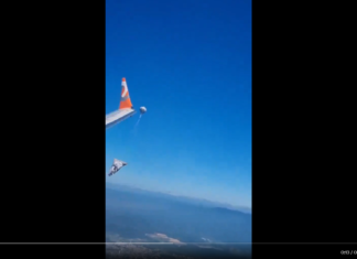 GOL Linhas Aéreas Boeing 737 MAX 8 avoids balloon on approach to Rio de Janeiro Galeão Airport