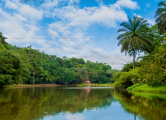 Qatar Airways announces the launch of flights to Kinshasa, Democratic Republic of Congo