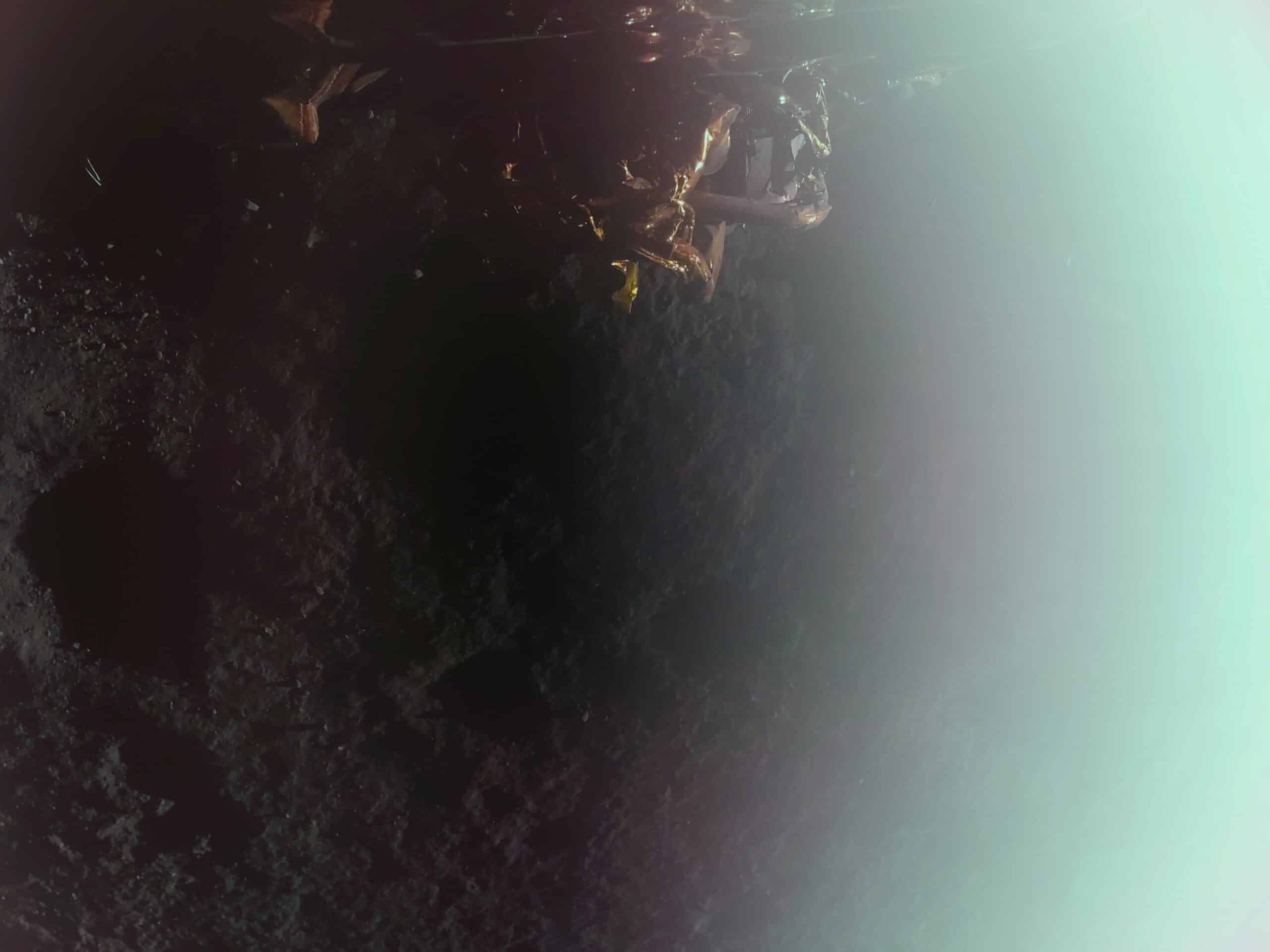Firefly Aerospace makes history as first commercial company to successfully land on the Moon