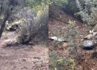 All six dead in Chilean medical plane crash near Santiago