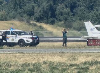 Canadian man charged with terrorism after hijacking plane to spread climate message