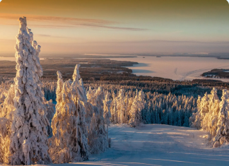 TUI expands One-Day Lapland Trips for winter 2026 with more UK Airports and festive in-flight touches