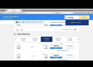 Brussels court partially upholds Ryanair practices, confirms cabin bag policy is lawful
