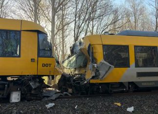 Head-on train collision in Denmark leaves five critically injured