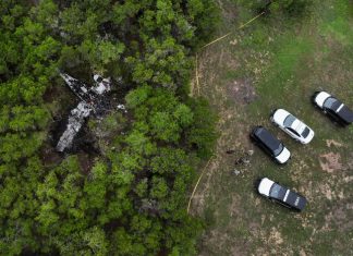 Five killed in Texas plane crash near Austin; no mid-air collision suspected