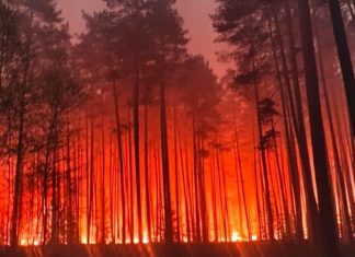 Pilot killed as firefighting plane crashes during major Polish wildfire