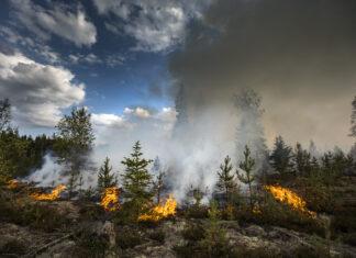 Wildfires in the Gironde region continue to disrupt operations at Bordeaux Airport