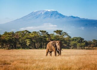 British Airways adds Kilimanjaro and Zanzibar as part of summer 2027 expansion
